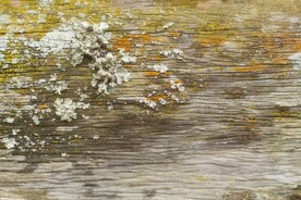 木板木纹背景纹理花纹素材