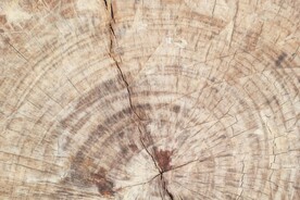 木板木纹背景纹理花纹素材