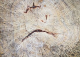 木板木纹背景纹理花纹素材