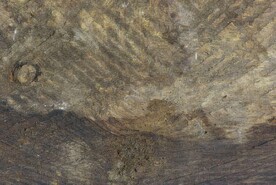 木板木纹背景纹理花纹素材