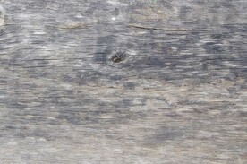 木板木纹背景纹理花纹素材