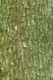 木板木纹背景纹理花纹素材