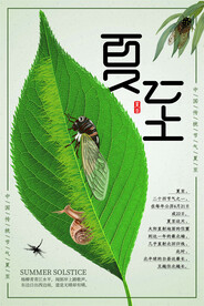 夏至海报