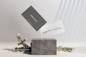 高端简约商务名片贴图样机