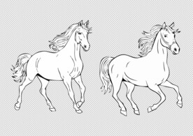 线稿马
