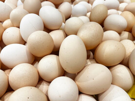 鸡蛋 