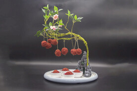 妃子笑荔枝虾球