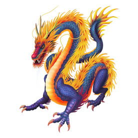 龙