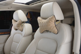 汽车腰靠头枕精品展示  