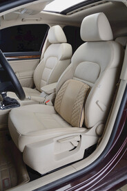 汽车腰靠头枕精品展示