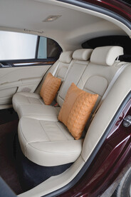 汽车腰靠头枕精品展示