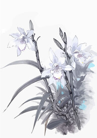 中式水墨画兰花