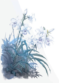 中式水墨画兰花 