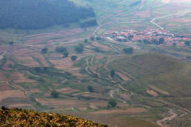 村边的多彩地块