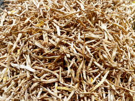 陕西大荔黄花菜