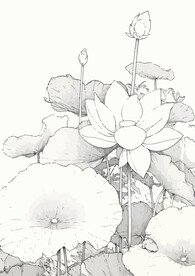 荷花简笔画
