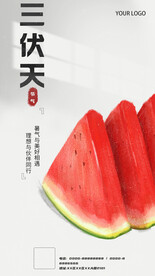 三伏天养生节气海报