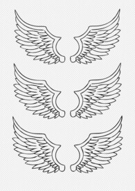 手绘翅膀