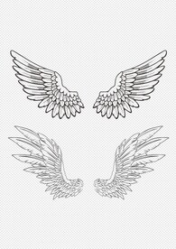 手绘翅膀