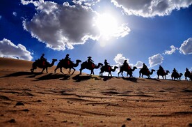 蓝天沙漠驼队