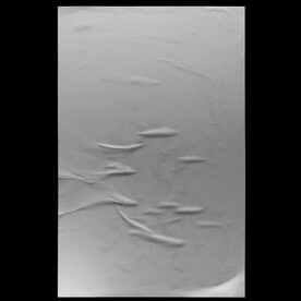 潮流复古褶皱肌理海报贴图样机