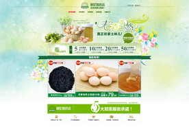 土特产淘宝店铺主页模板