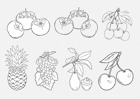 手绘水果