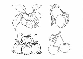 水果线条
