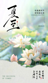二十四节气夏至海报