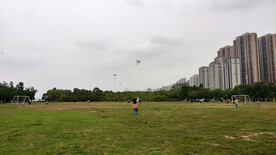 公园旧草地足球场亲子玩乐