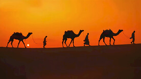 骆驼商队