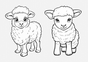 手绘羊