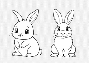 卡通兔子