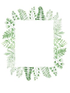 叶片树叶的边框水彩画风格插画