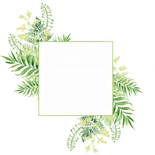 叶片树叶的边框水彩画风格插画