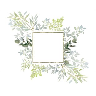 叶片树叶的边框水彩画风格插画