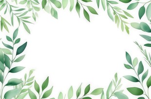 叶片树叶的边框水彩画风格插画