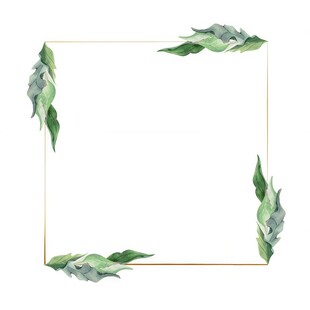 叶片树叶的边框水彩画风格插画