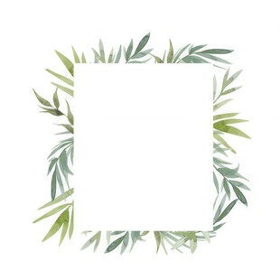 叶片树叶的边框水彩画风格插画