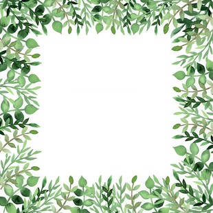 叶片树叶的边框水彩画风格插画