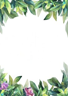 叶片树叶的边框水彩画风格插画