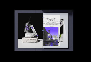 环扣装订书样机效果图