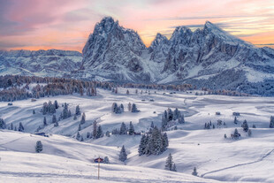 意大利冬季特伦蒂诺上阿迪杰雪景