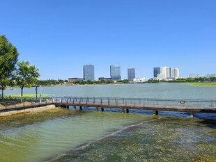 蓝天白云公园一角