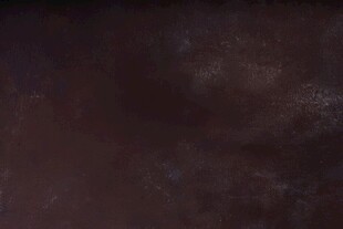 棕色花纹皮革纹理背景素材皮质