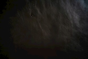 棕色花纹皮革纹理背景素材皮质