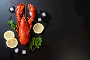 高级食材龙虾冰块图片