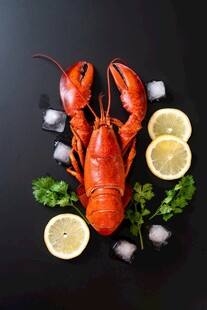 高级食材龙虾柠檬美食
