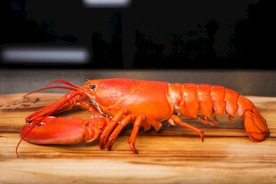 高级食材龙虾美食