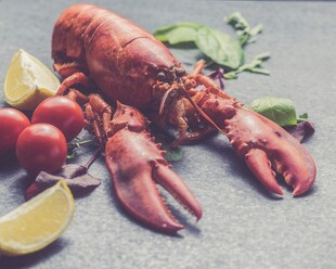 高级食材龙虾柠檬美食